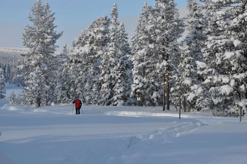 A winter photo from SÃ¤len