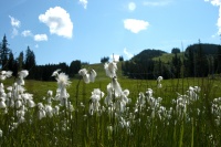 Sommar i SÃƒÆ’Ã†â€™Ãƒâ€ Ã¢â‚¬â„¢ÃƒÆ’Ã¢â‚¬ ÃƒÂ¢Ã¢â€šÂ¬Ã¢â€žÂ¢ÃƒÆ’Ã†â€™ÃƒÂ¢Ã¢â€šÂ¬ ÃƒÆ’Ã‚Â¢ÃƒÂ¢Ã¢â‚¬Å¡Ã‚Â¬ÃƒÂ¢Ã¢â‚¬Å¾Ã‚Â¢ÃƒÆ’Ã†â€™Ãƒâ€ Ã¢â‚¬â„¢ÃƒÆ’Ã‚Â¢ÃƒÂ¢Ã¢â‚¬Å¡Ã‚Â¬ ÃƒÆ’Ã†â€™Ãƒâ€šÃ‚Â¢ÃƒÆ’Ã‚Â¢ÃƒÂ¢Ã¢â€šÂ¬Ã…Â¡Ãƒâ€šÃ‚Â¬ÃƒÆ’Ã‚Â¢ÃƒÂ¢Ã¢â€šÂ¬Ã…Â¾Ãƒâ€šÃ‚Â¢ÃƒÆ’Ã†â€™Ãƒâ€ Ã¢â‚¬â„¢ÃƒÆ’Ã¢â‚¬ ÃƒÂ¢Ã¢â€šÂ¬Ã¢â€žÂ¢ÃƒÆ’Ã†â€™Ãƒâ€šÃ‚Â¢ÃƒÆ’Ã‚Â¢ÃƒÂ¢Ã¢â€šÂ¬Ã…Â¡Ãƒâ€šÃ‚Â¬ÃƒÆ’Ã¢â‚¬Â¦Ãƒâ€šÃ‚Â¡ÃƒÆ’Ã†â€™Ãƒâ€ Ã¢â‚¬â„¢ÃƒÆ’Ã‚Â¢ÃƒÂ¢Ã¢â‚¬Å¡Ã‚Â¬Ãƒâ€¦Ã‚Â¡ÃƒÆ’Ã†â€™ÃƒÂ¢Ã¢â€šÂ¬Ã…Â¡ÃƒÆ’Ã¢â‚¬Å¡Ãƒâ€šÃ‚Â¤len