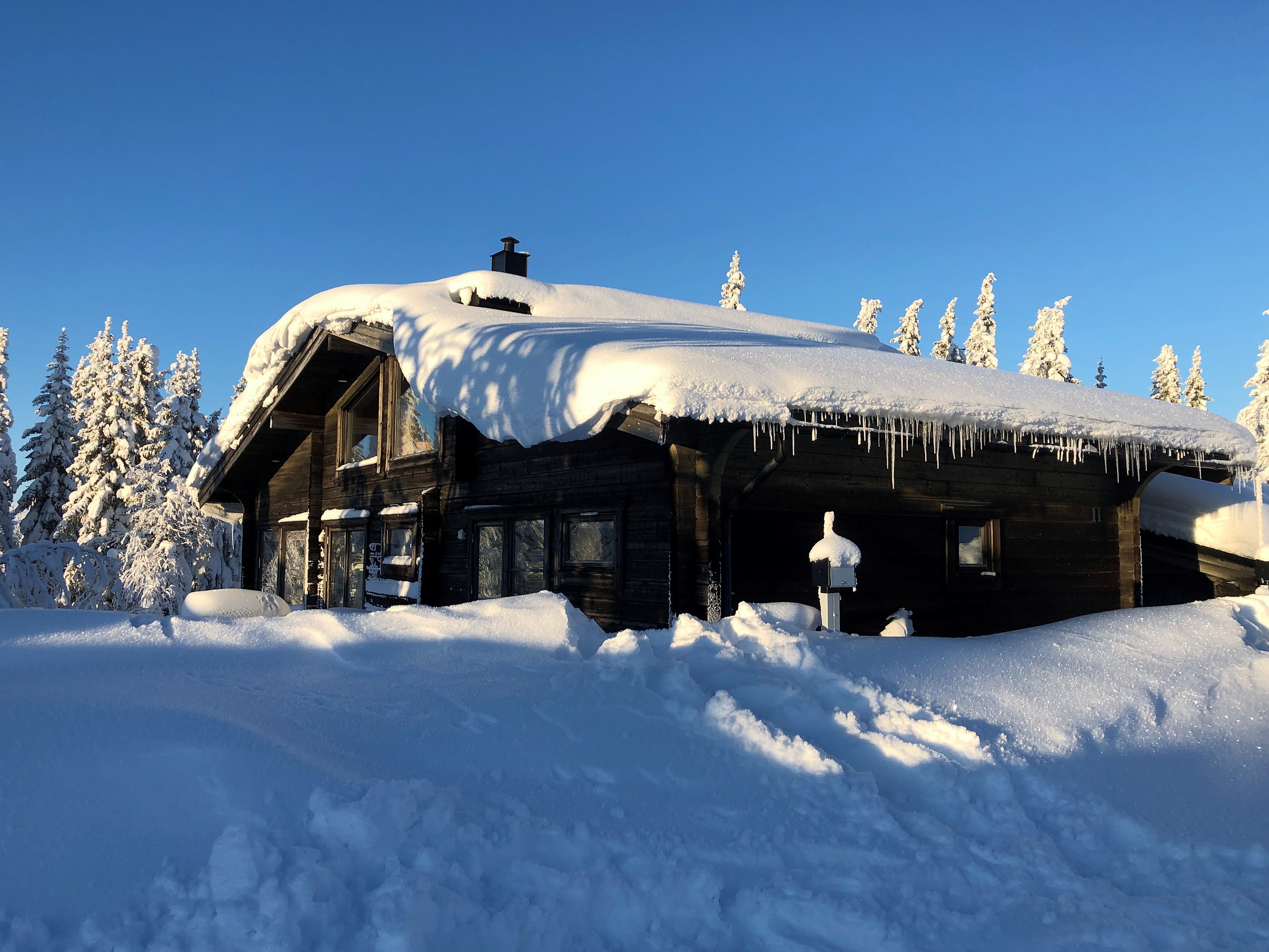 Med plats för 12 personer, bastu och braskamin. 450m till lift.