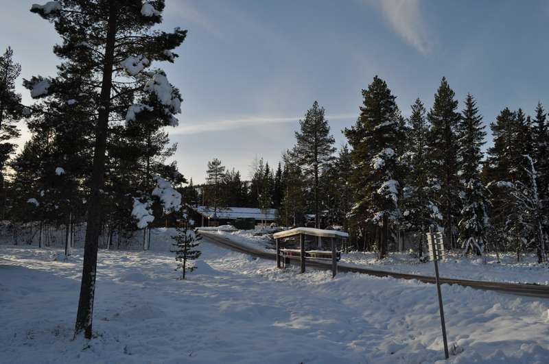 Utsikt från stugan där du skymatr backarna längst upp