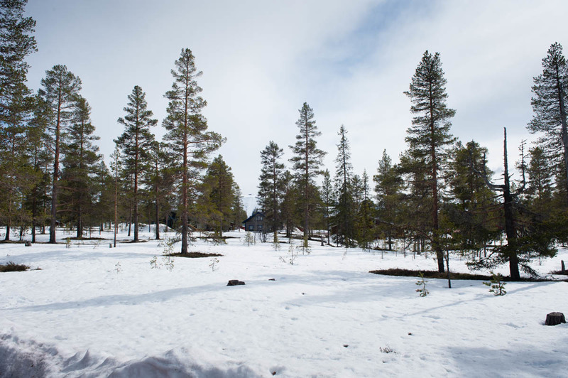 Vinterbild från stugan 