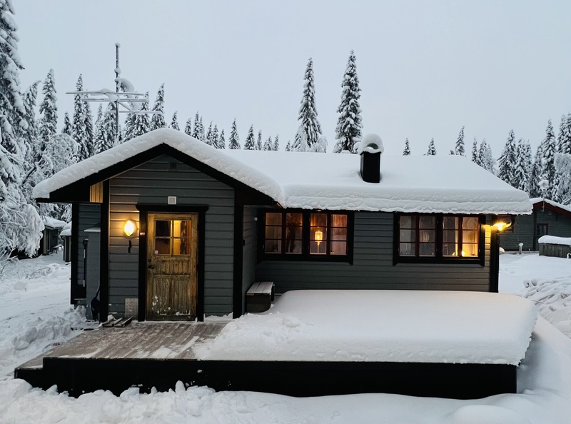 En bild på stuga 545, Vitmossvägen 15