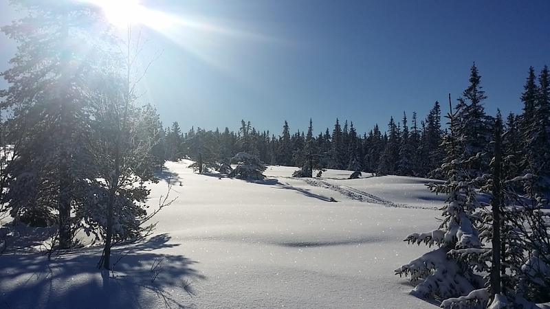 Fjället visst är det vackert?