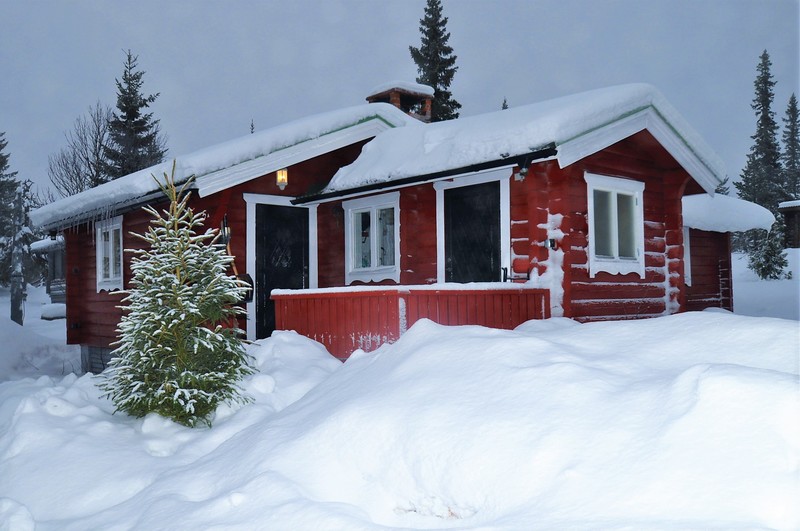 En bild på stuga B37, Ripbärsstigen 5A