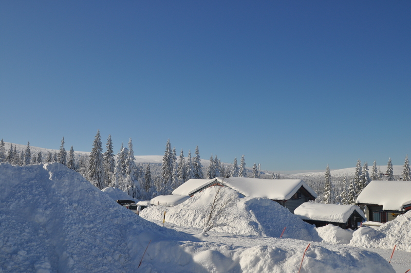 Utsikten från huset