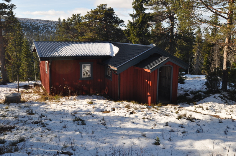 En bild på stuga C70, Ripbärsstigen 8 