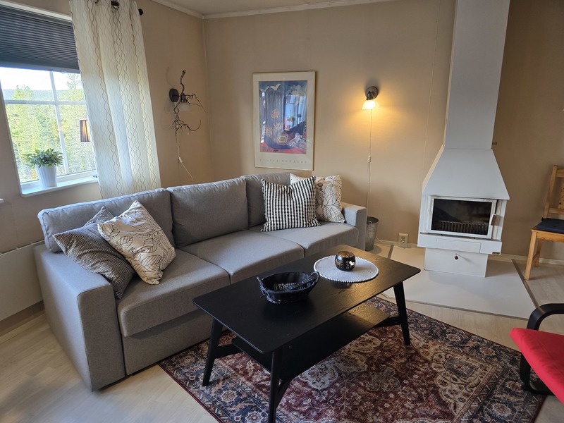 soffa och braskamin