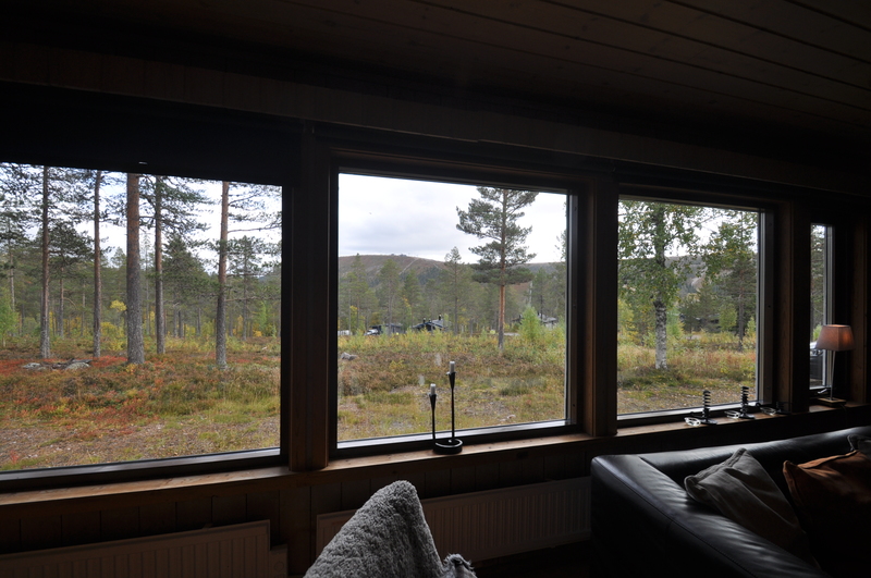Utsikt från allrum