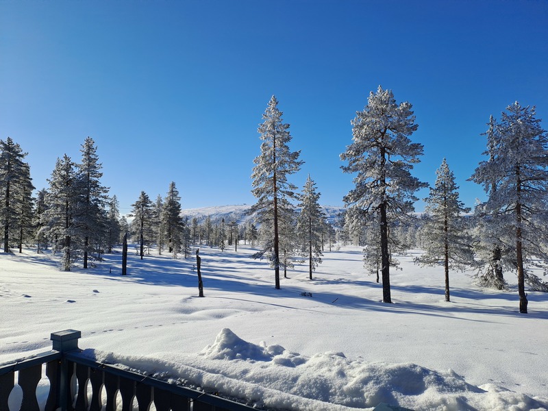Utsikt från balkongen