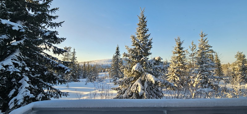 Utsikt från allrummet (altan skottas ej av Gumo)